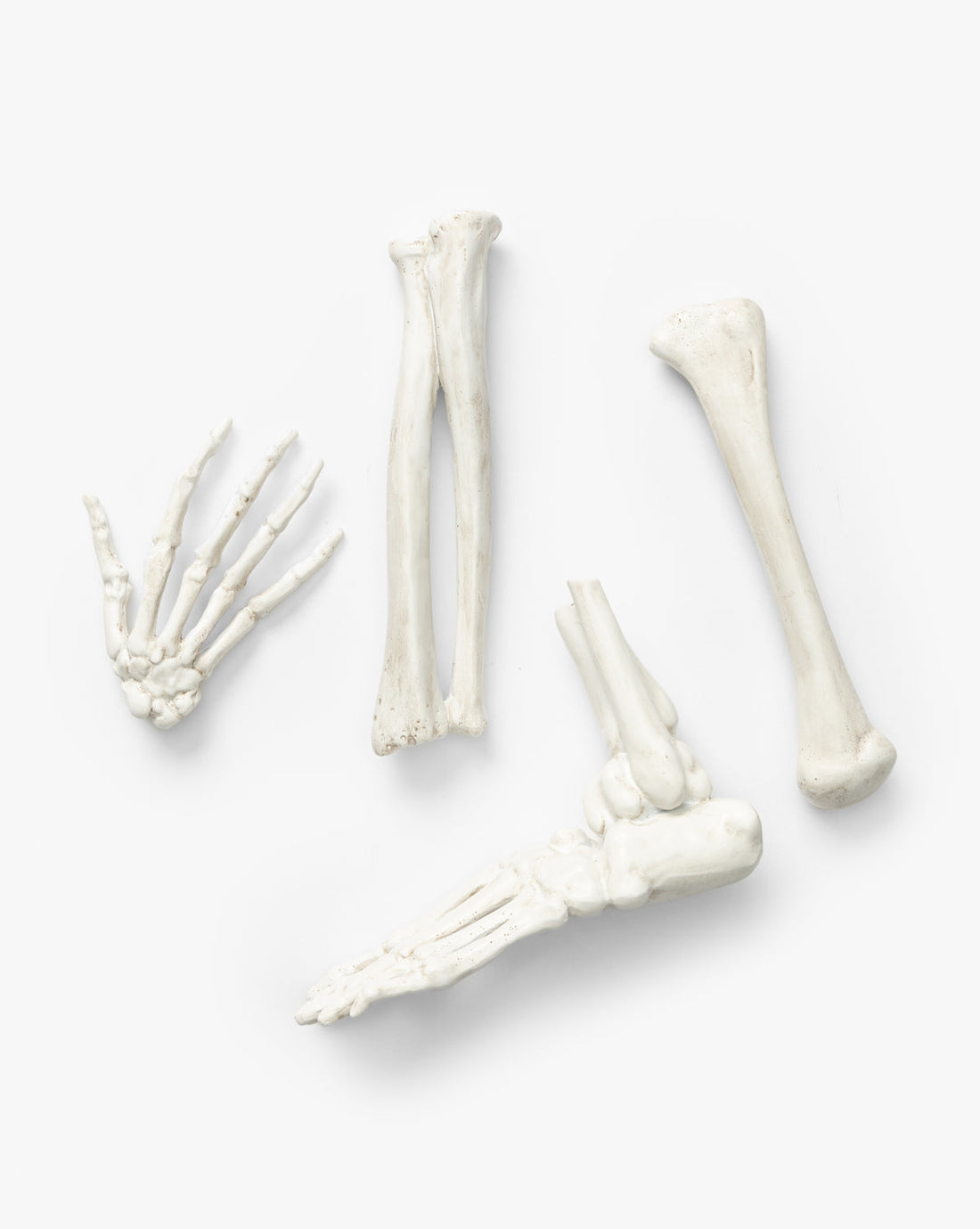 Resin Skeleton Bones in Drawstring Bag  (Set of 4)